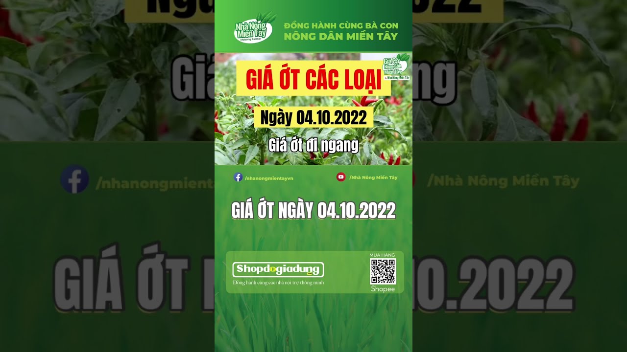 chili prices October 4, 2022