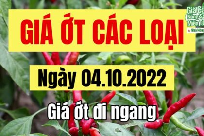 chili prices October 4, 2022