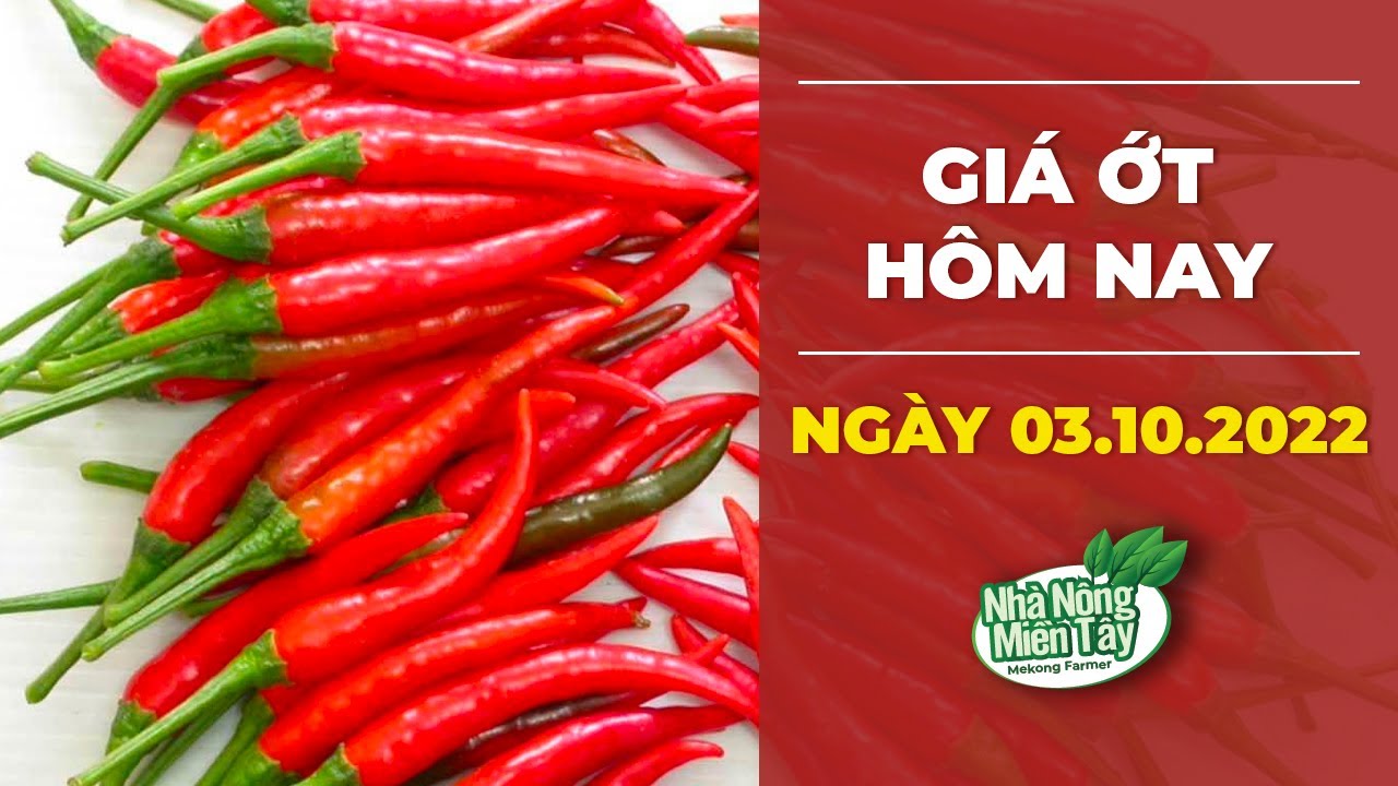 chili prices October 3, 2022