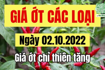 chili prices October 2, 2022