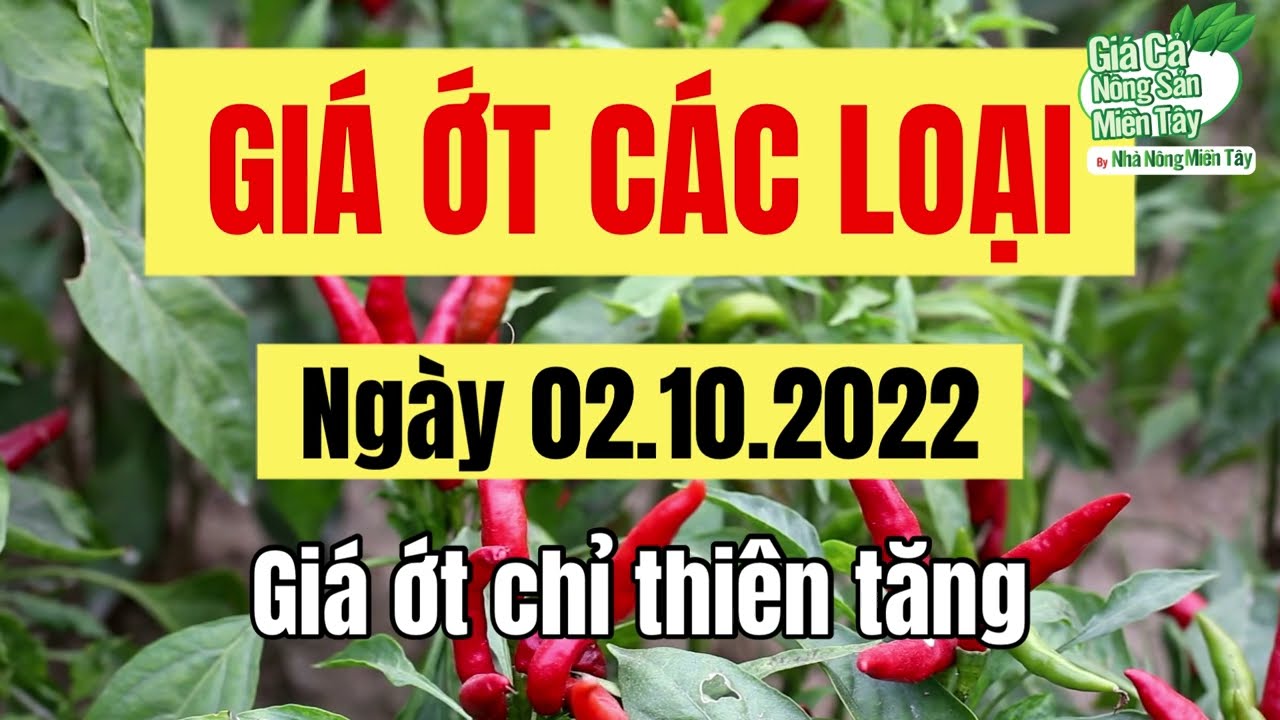 chili prices October 2, 2022