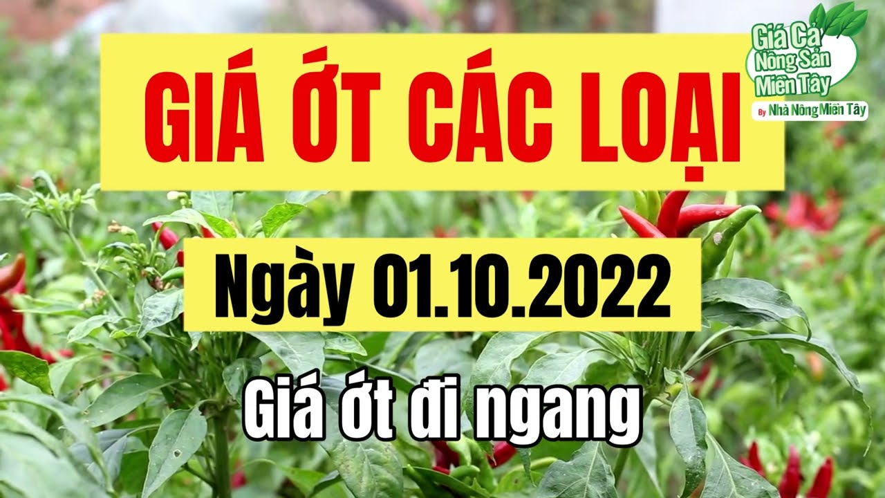 chili prices October 1, 2022