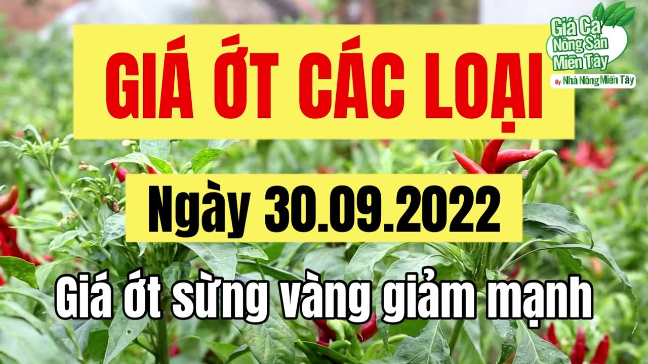 chili prices September 30, 2022