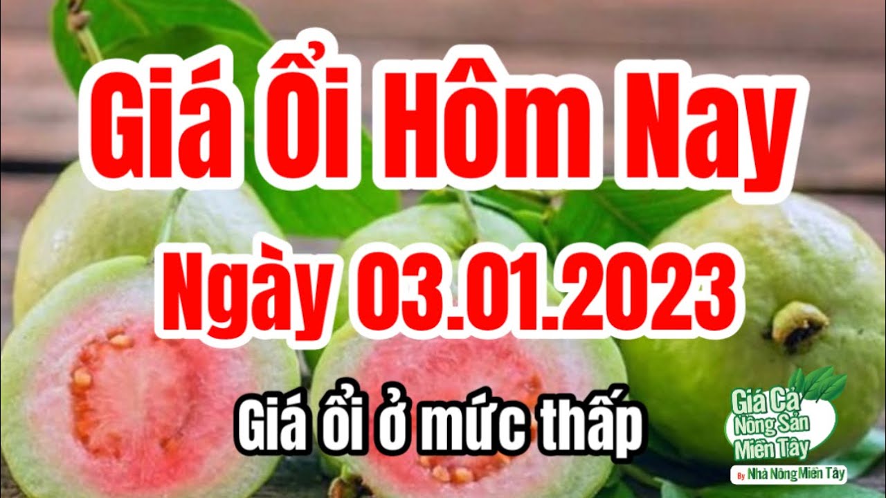 guava price January 3, 2023