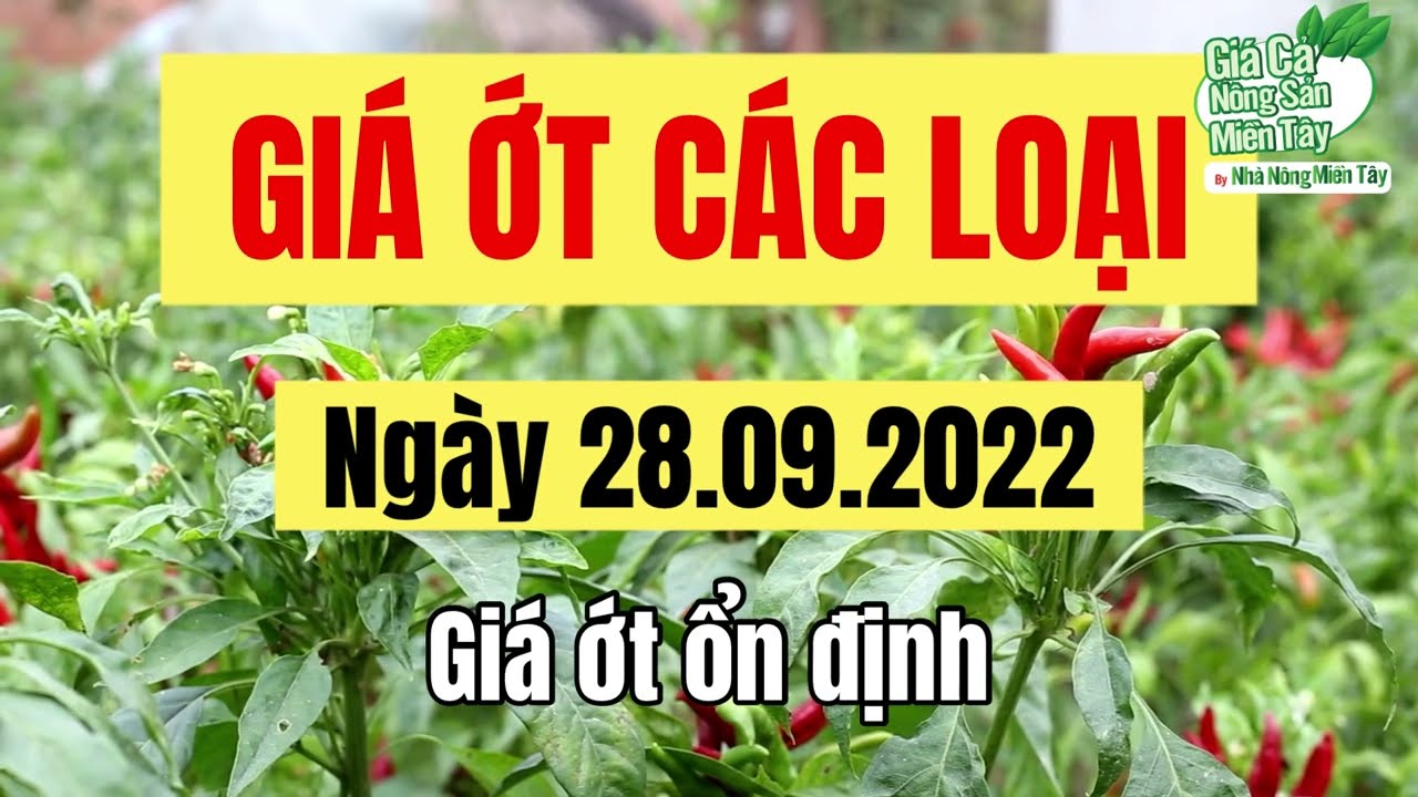 chili prices September 28, 2022