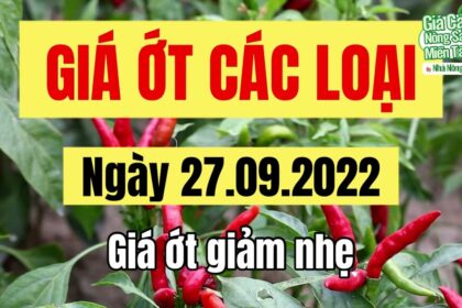 chili prices September 27, 2022