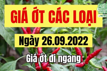 chili prices September 26, 2022