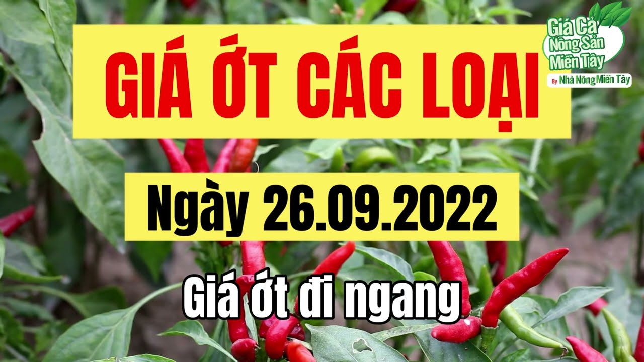 chili prices September 26, 2022