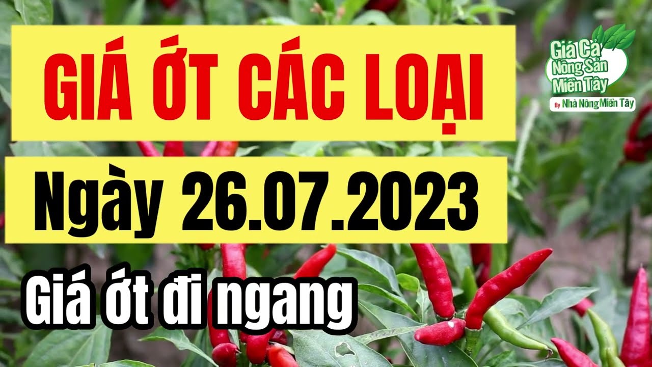 chili price July 26, 2023