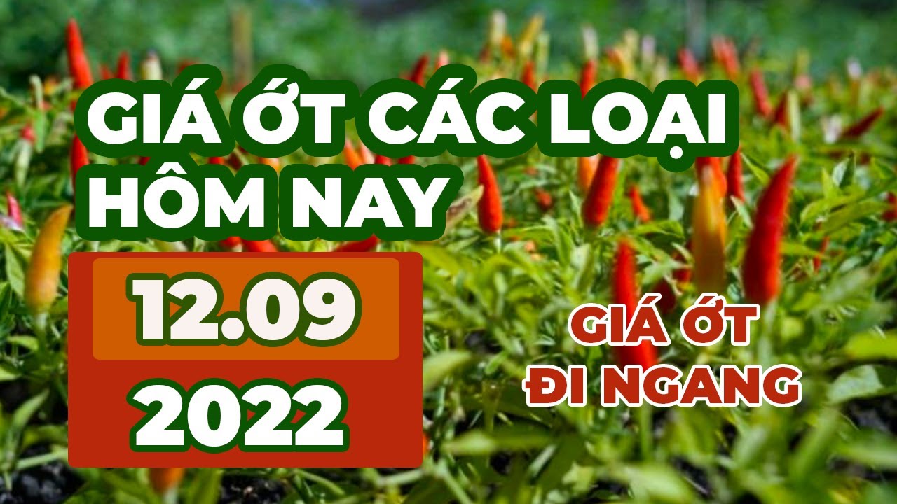 chili prices September 12, 2022