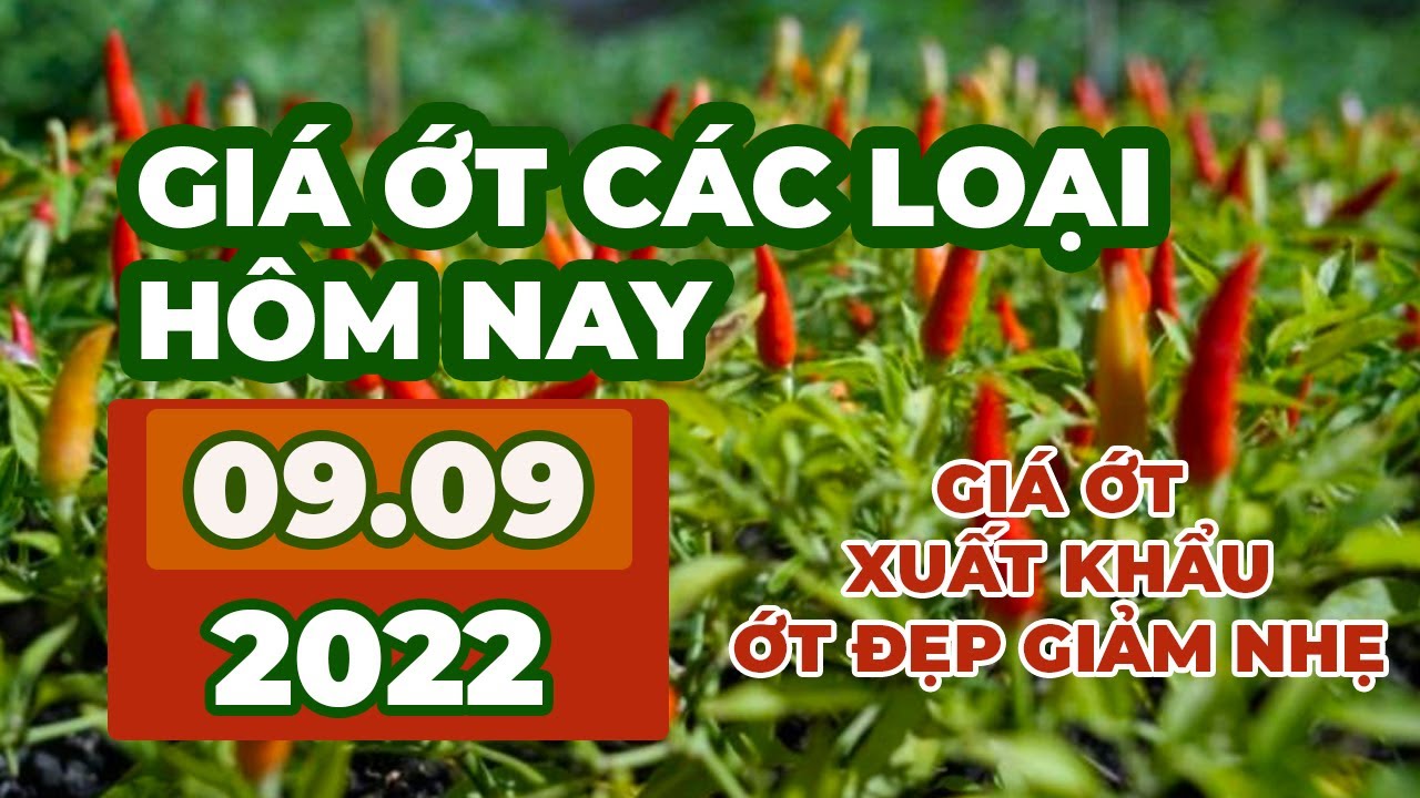 chili prices September 9, 2022