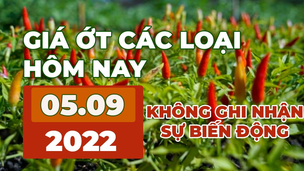 chili prices September 5, 2022