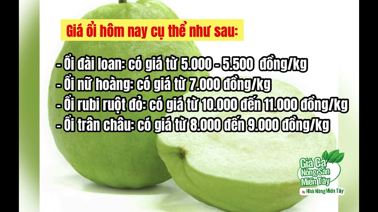 guava price December 13, 2022