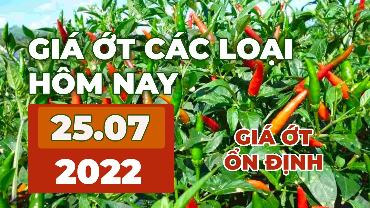 chili prices July 25, 2022
