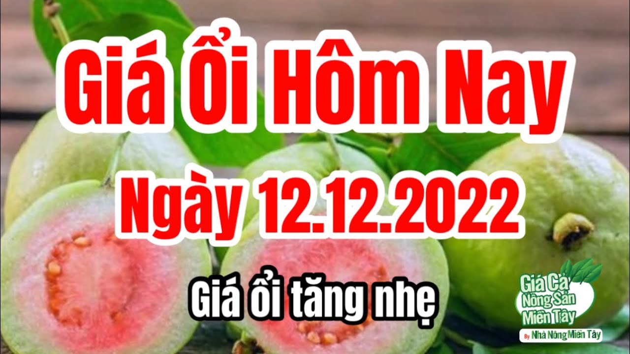 market prices and guava price December 12, 2022
