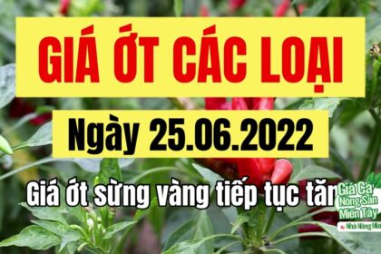 chili prices June 25, 2022