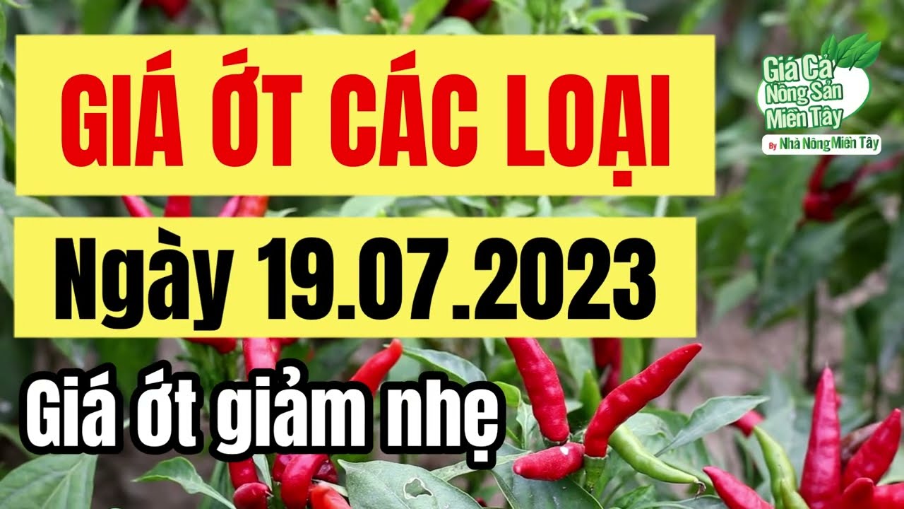 chili price July 21, 2023