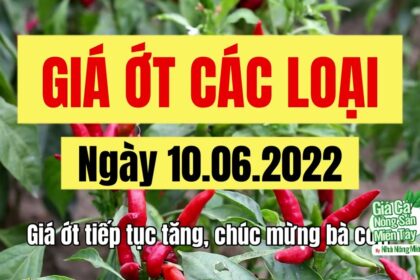 chili prices June 10, 2022