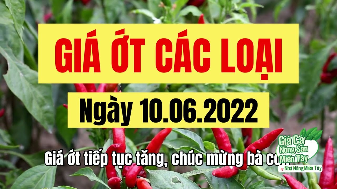 chili prices June 10, 2022