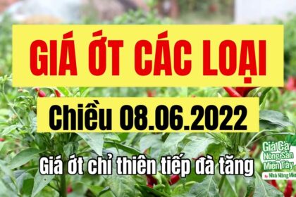 chili prices June 8, 2022