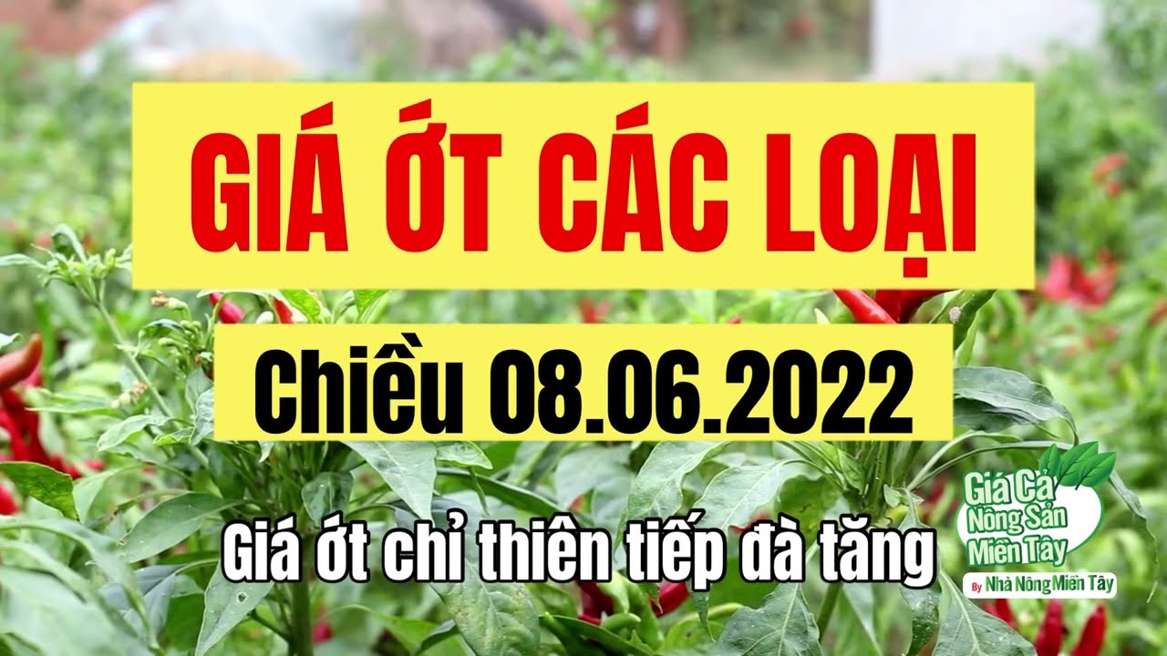 chili prices June 8, 2022