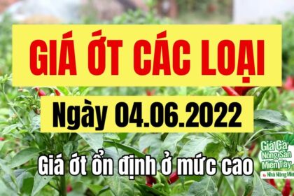 chili prices June 4, 2022