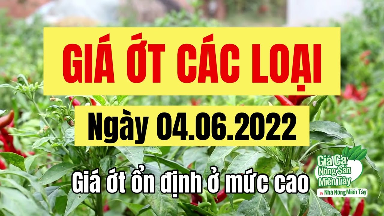 chili prices June 4, 2022