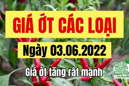 chili prices June 3, 2022