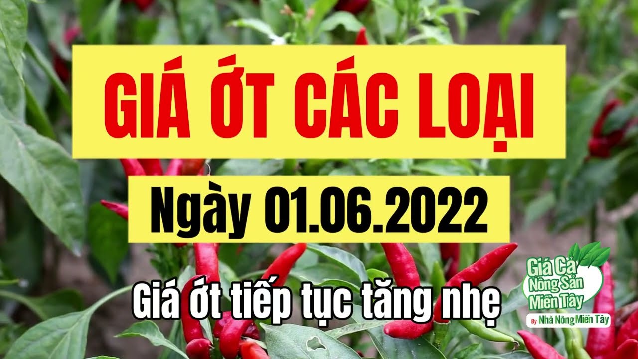 chili prices June 1, 2022