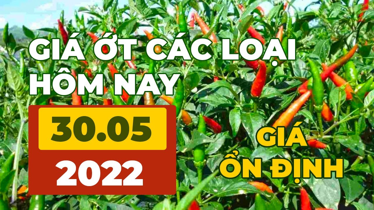 chili prices May 30, 2022