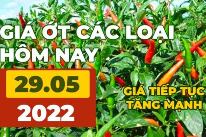 chili prices May 29, 2022
