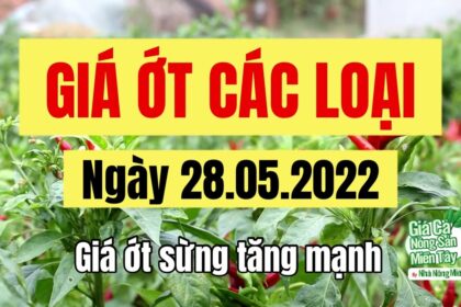 chili prices May 28, 2022