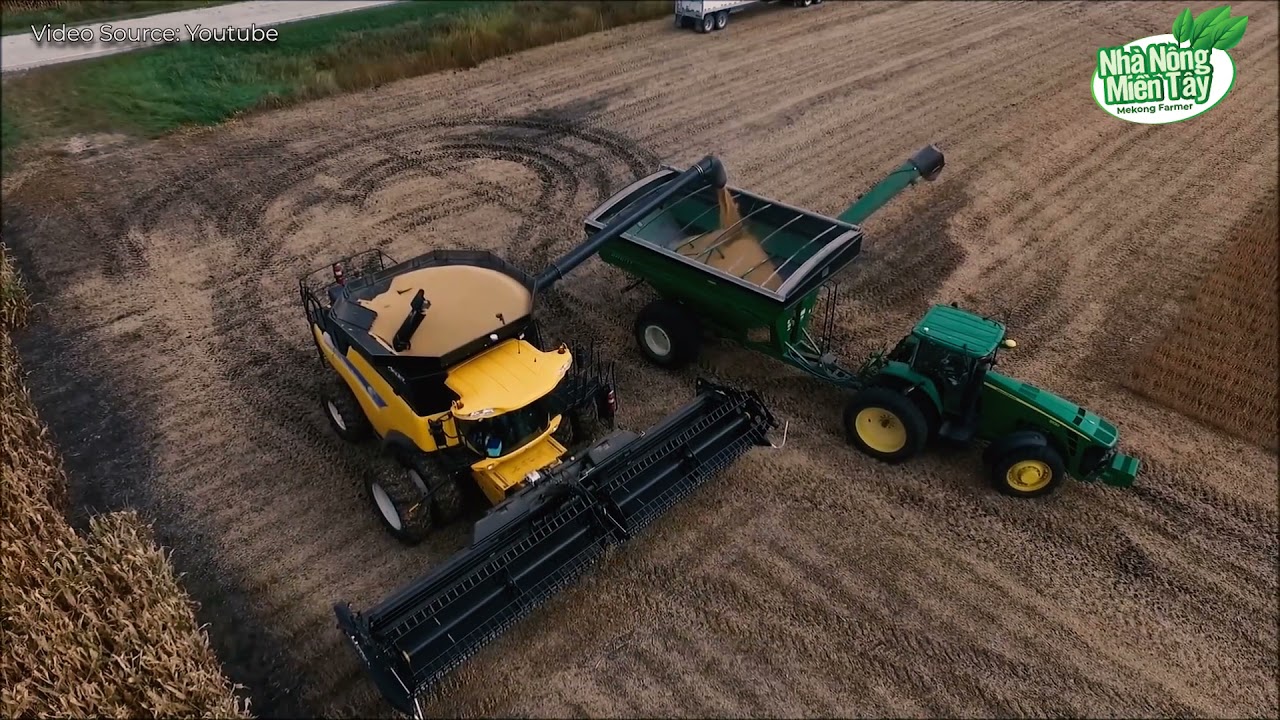 China grain purchases feed prices