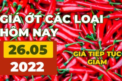 chili prices May 26, 2022