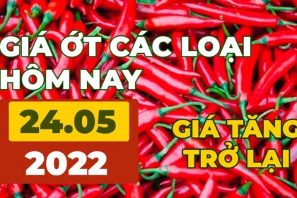 chili prices May 24, 2022