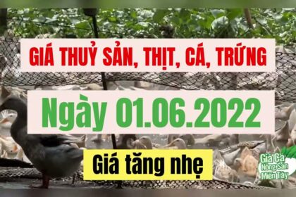 seafood, meat, fish and egg prices June 1, 2022