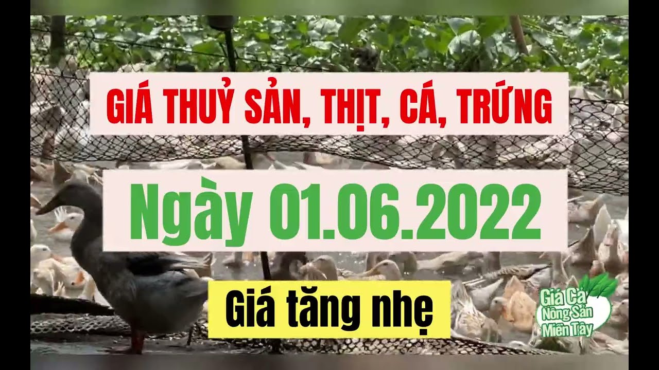 seafood, meat, fish and egg prices June 1, 2022