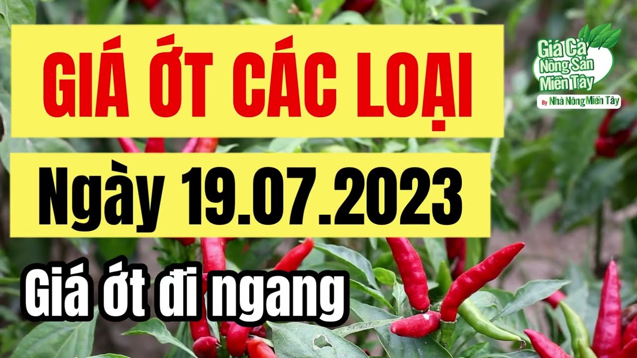 chili price July 19, 2023