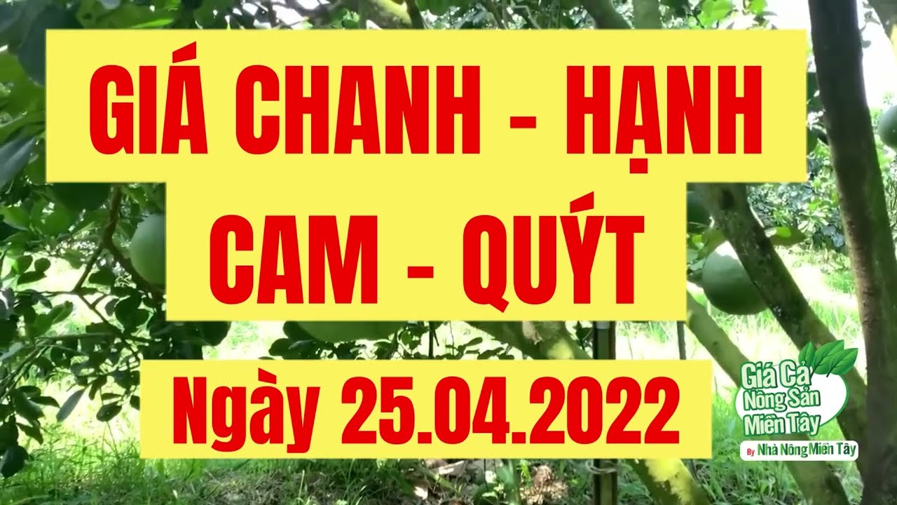 lime, calamansi, orange and mandarin price April 25, 2022