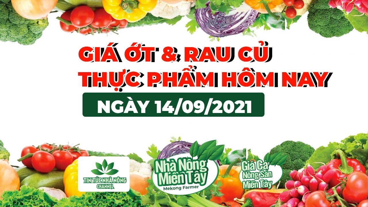 food, vegetables, meat, fish and egg prices September 14, 2021
