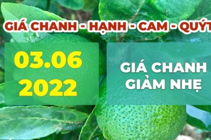 lime, calamansi, orange and mandarin prices June 3, 2022