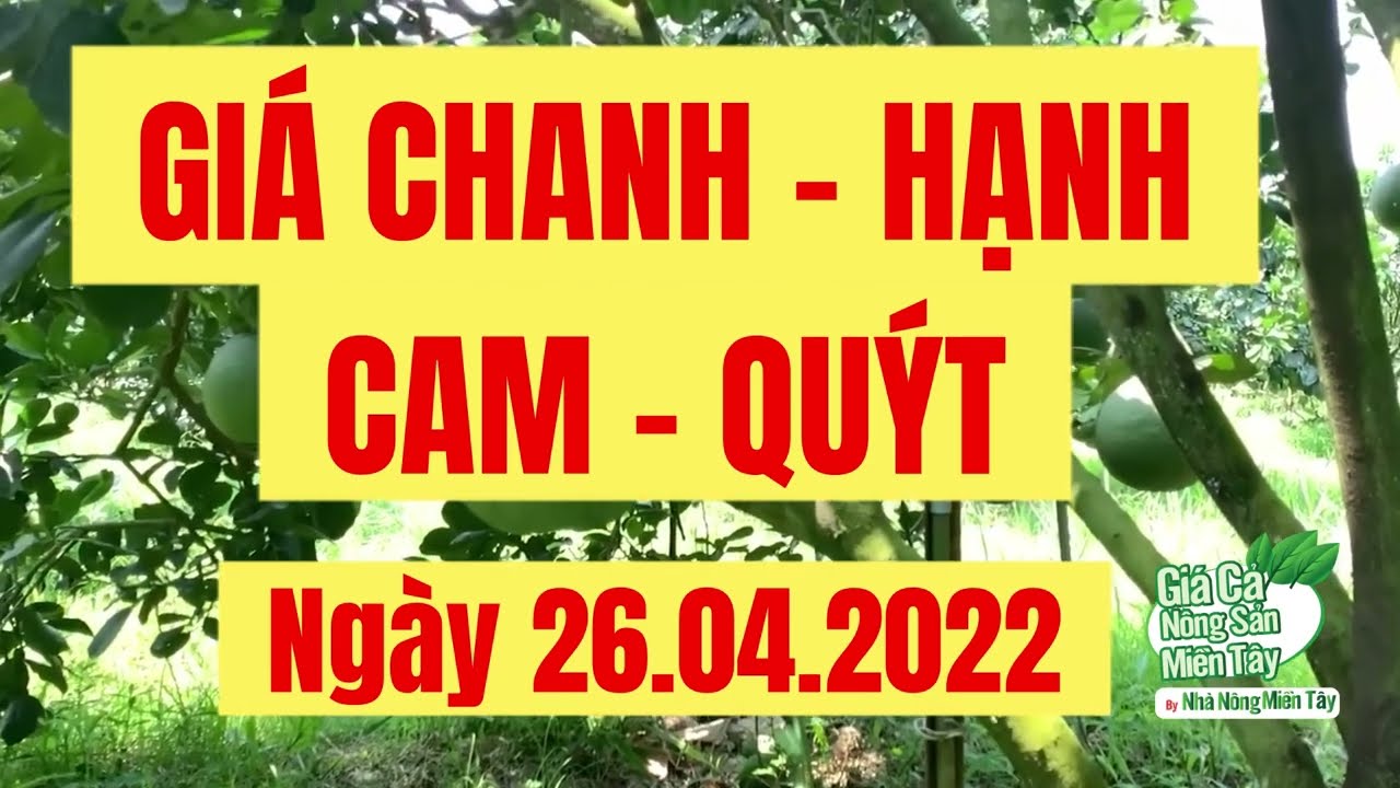 lime, calamansi, orange and mandarin price April 26, 2022
