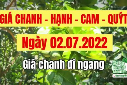 lime, calamansi, orange and mandarin prices July 2, 2022