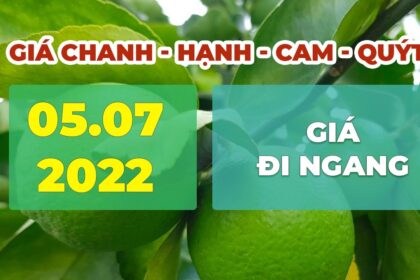 lime, calamansi, orange and mandarin prices July 5, 2022