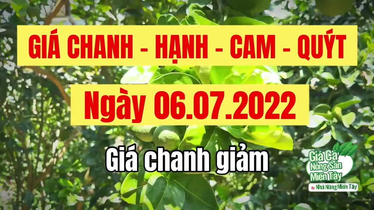 lime, calamansi, orange and mandarin prices July 6, 2022