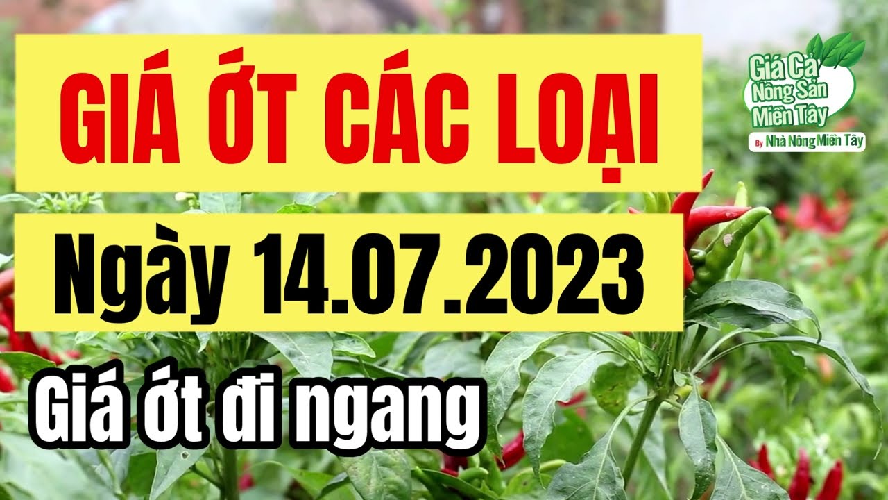 market prices and chili price July 14, 2023