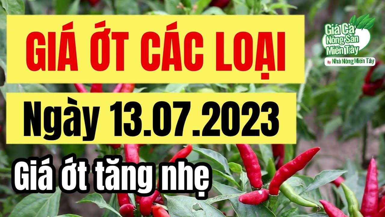 chili price July 13, 2023