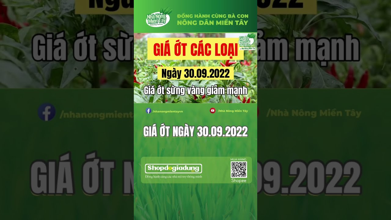citrus fruit prices September 30, 2022