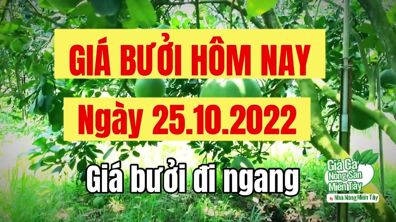 pomelo prices October 25, 2022