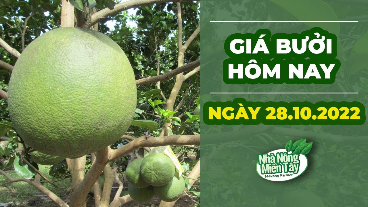 green-skin pomelo prices October 28, 2022